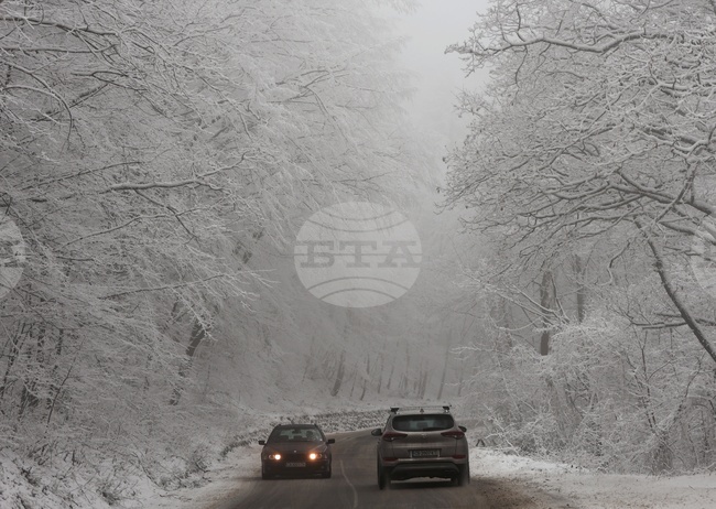 Пътищата към природен парк "Витоша" ще бъдат затворени тази нощ за почистване от снега 