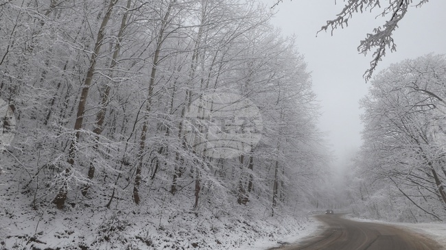 Пожарникари помогнаха на жена да изтеглят автомобила ѝ от заледен път в Твърдица