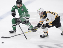 Bruins Stars Hockey