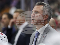 Canadiens Wild Hockey