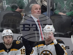 Bruins Stars Hockey