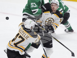Bruins Stars Hockey