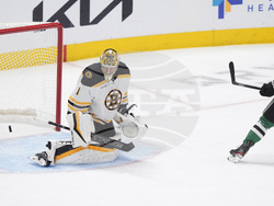 Bruins Stars Hockey