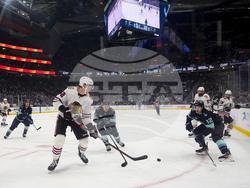 Blackhawks Kraken Hockey