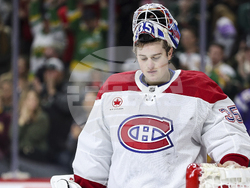 Canadiens Wild Hockey
