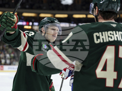 Canadiens Wild Hockey