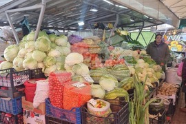 Търговище - пазар - зеле