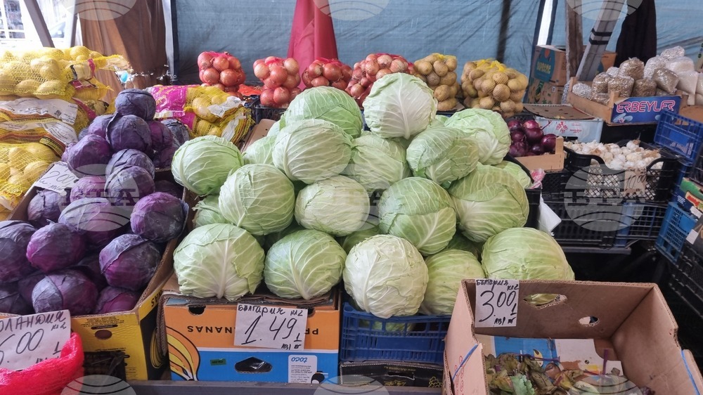 Wholesale Prices of Vegetables Go Down in Early April