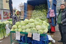 Търговище - пазар - зеле