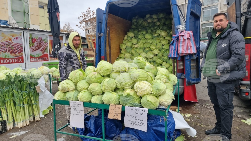 През 2024 година семейните предприятия в област Търговище се увеличават на годишна база, заетите в тях намаляват 