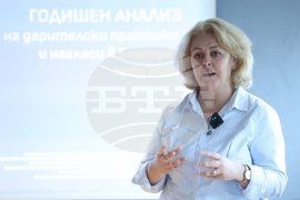 Български дарителски форум - данни - представяне