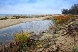 Варна - устие на река Камчия