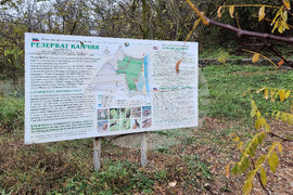 Варна - устие на река Камчия