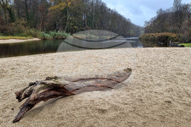 Варна - устие на река Камчия