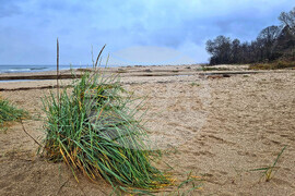 Варна - устие на река Камчия