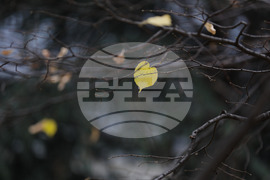 Столица - есен