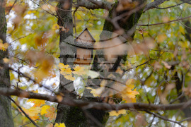 Столица - есен