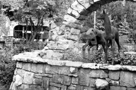 Парк „Кайлъка” в Плевен през 1952 година