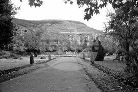 Парк „Кайлъка” в Плевен през 1952 година