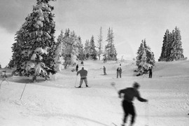 Зима на Витоша