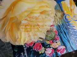 Това е трета книга за Христина Йорданова