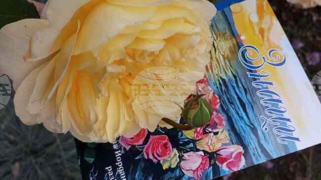 Христина Йорданова представя книгата „Знаци“ в Пазарджик 