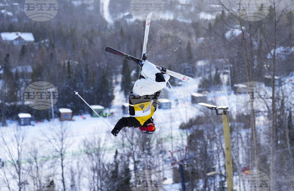 WCup Freestyle Sking