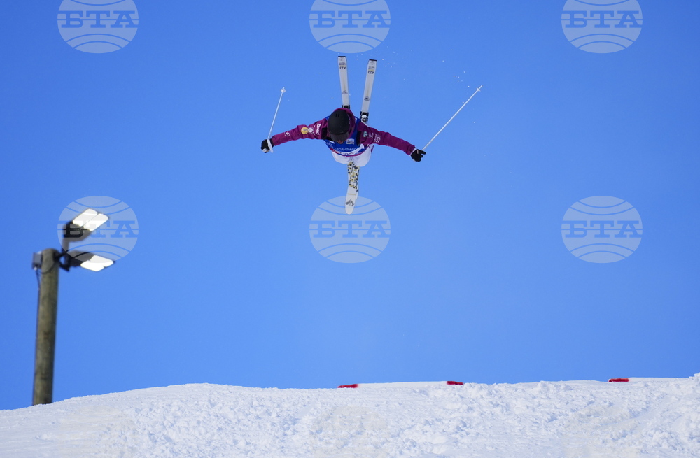 WCup Freestyle Sking