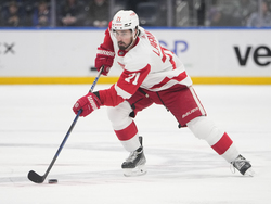 Red Wings Islanders Hockey