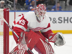 Red Wings Islanders Hockey