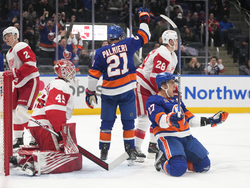 Red Wings Islanders Hockey