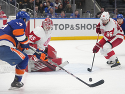 Red Wings Islanders Hockey