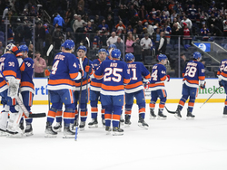 Red Wings Islanders Hockey
