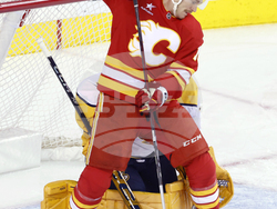Predators Flames Hockey