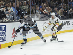 Golden Knights Utah Hockey
