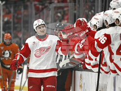 Red Wings Ducks Hockey