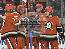 Red Wings Ducks Hockey
