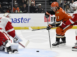 Red Wings Ducks Hockey