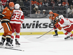 Red Wings Ducks Hockey