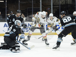 Golden Knights Utah Hockey