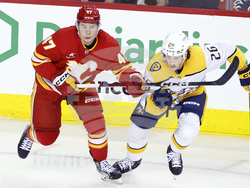 Predators Flames Hockey