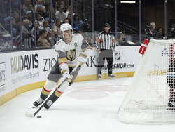 Golden Knights Utah Hockey