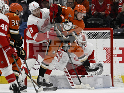 Red Wings Ducks Hockey