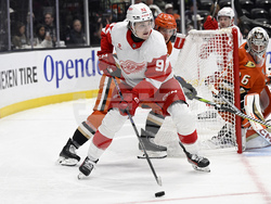 Red Wings Ducks Hockey