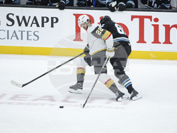 Golden Knights Utah Hockey