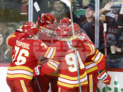 Predators Flames Hockey