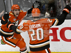 Red Wings Ducks Hockey