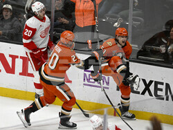 Red Wings Ducks Hockey