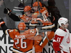 Red Wings Ducks Hockey