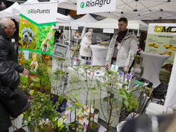 Русе - „Дунавски овощари“- изложение